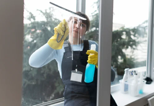 Nettoyage de vitres intérieures et extérieures à Gerland